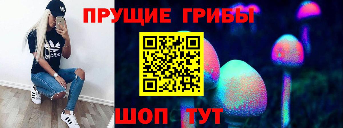 Трёхгорный  Галлюциногенные грибы Cubensis  что такое наркотик  Вход с VPN 